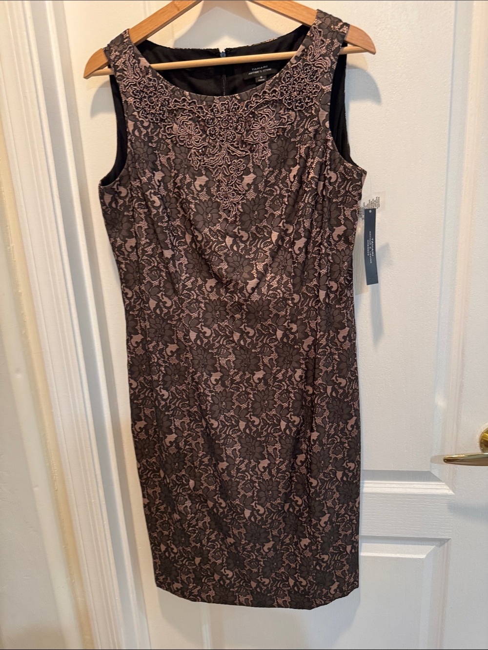 Tahari Sleeveless Lace Beadwork Sheath Dress in Black and Blush